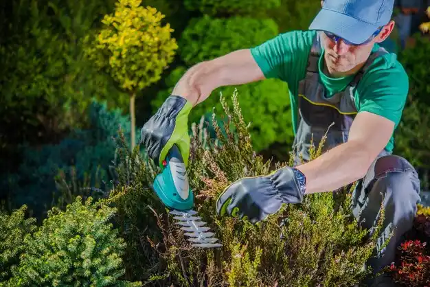 landscaping services Providence